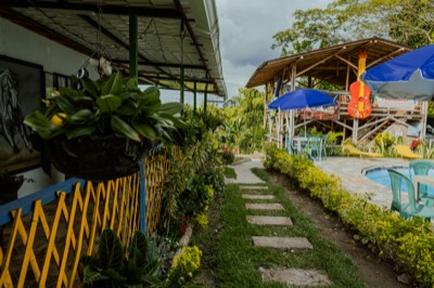 Patio jardín