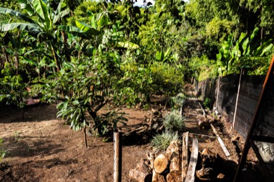 Bosque sendero