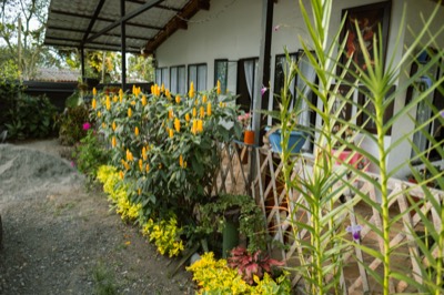 Vista patio